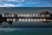 黑马线索：世界杯预选赛德比我只盯两件事：赛程密度和进攻效率